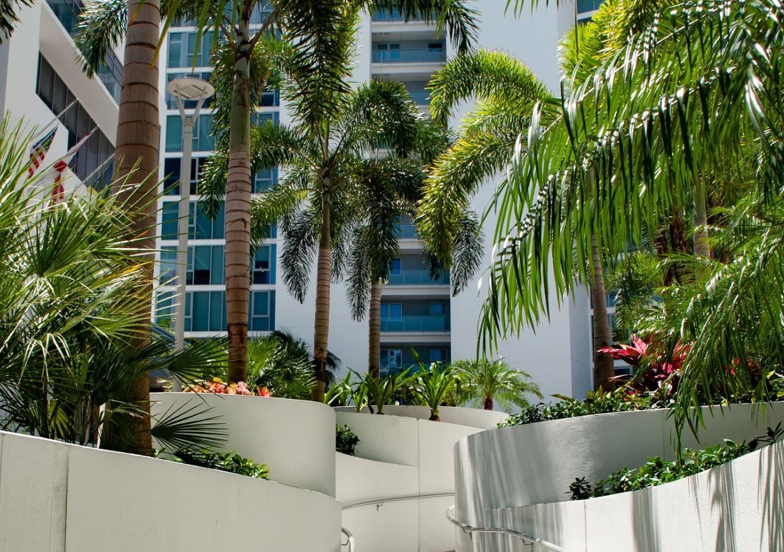 Winding white-walled planter path lined with royal palms at The Westin Sarasota