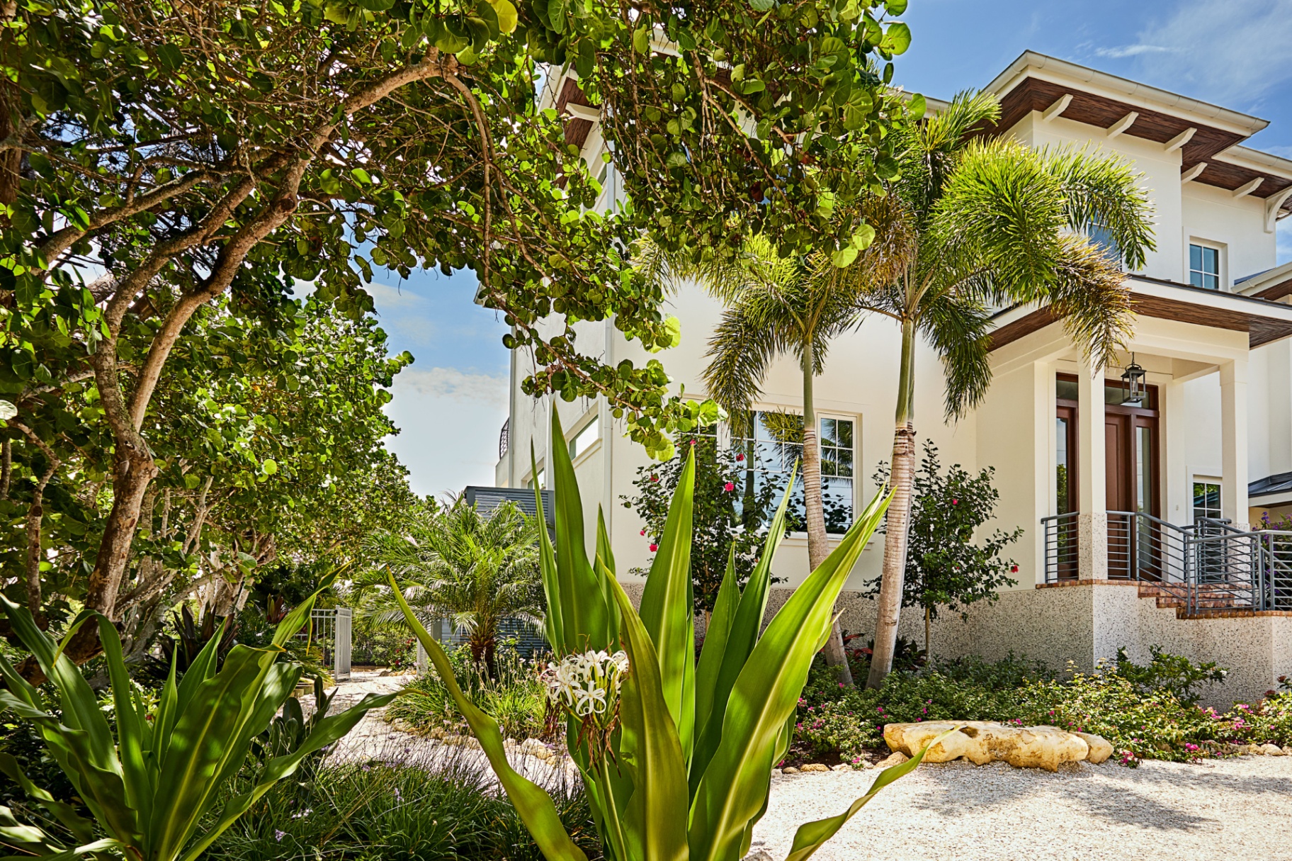 Bright tropical private residence exterior with palm trees, lush greenery, and natural stone landscaping