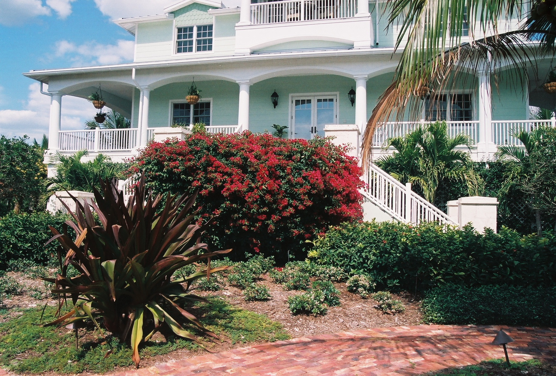 Coastal Florida residence with layered bougainvillea, native shrubs, and palms — residential hurricane-proof landscape design done right