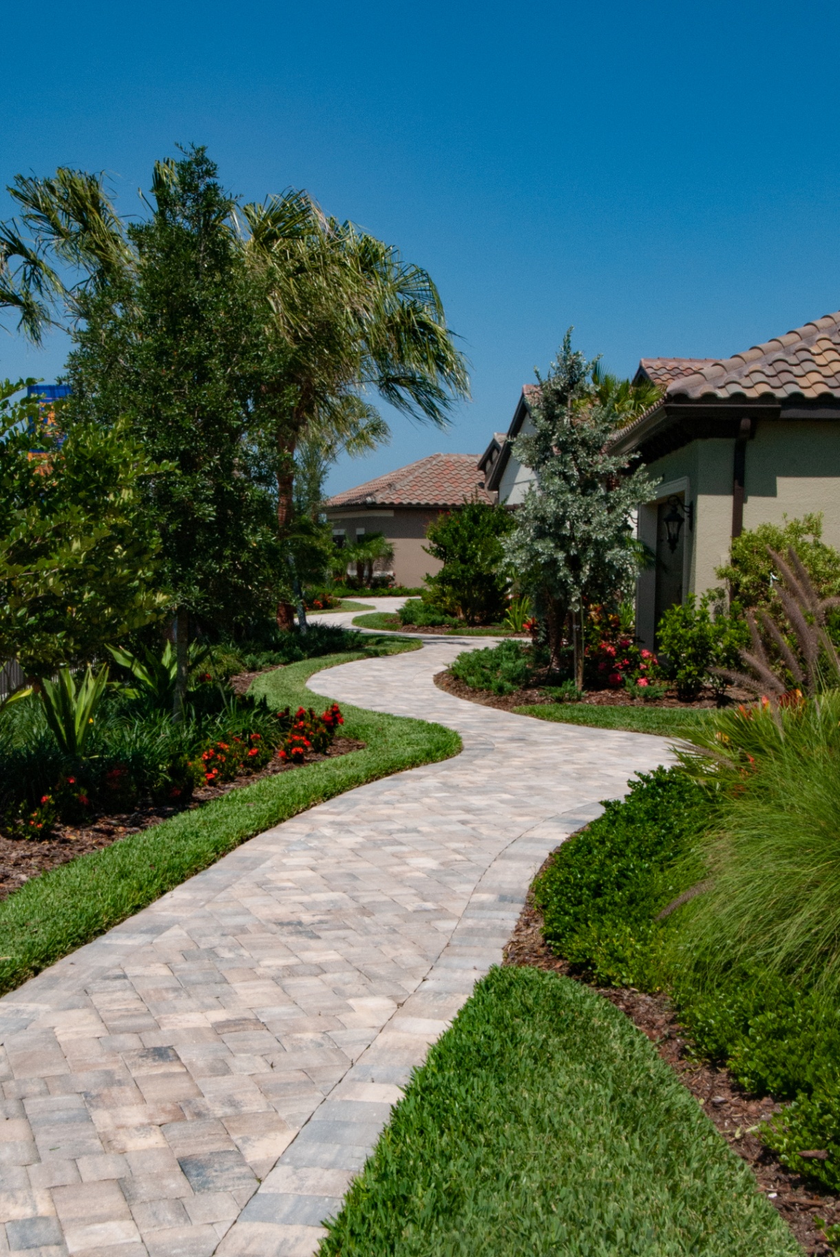 Winding paver walkway through lush tropical plantings at Vicenza by Neal Communities