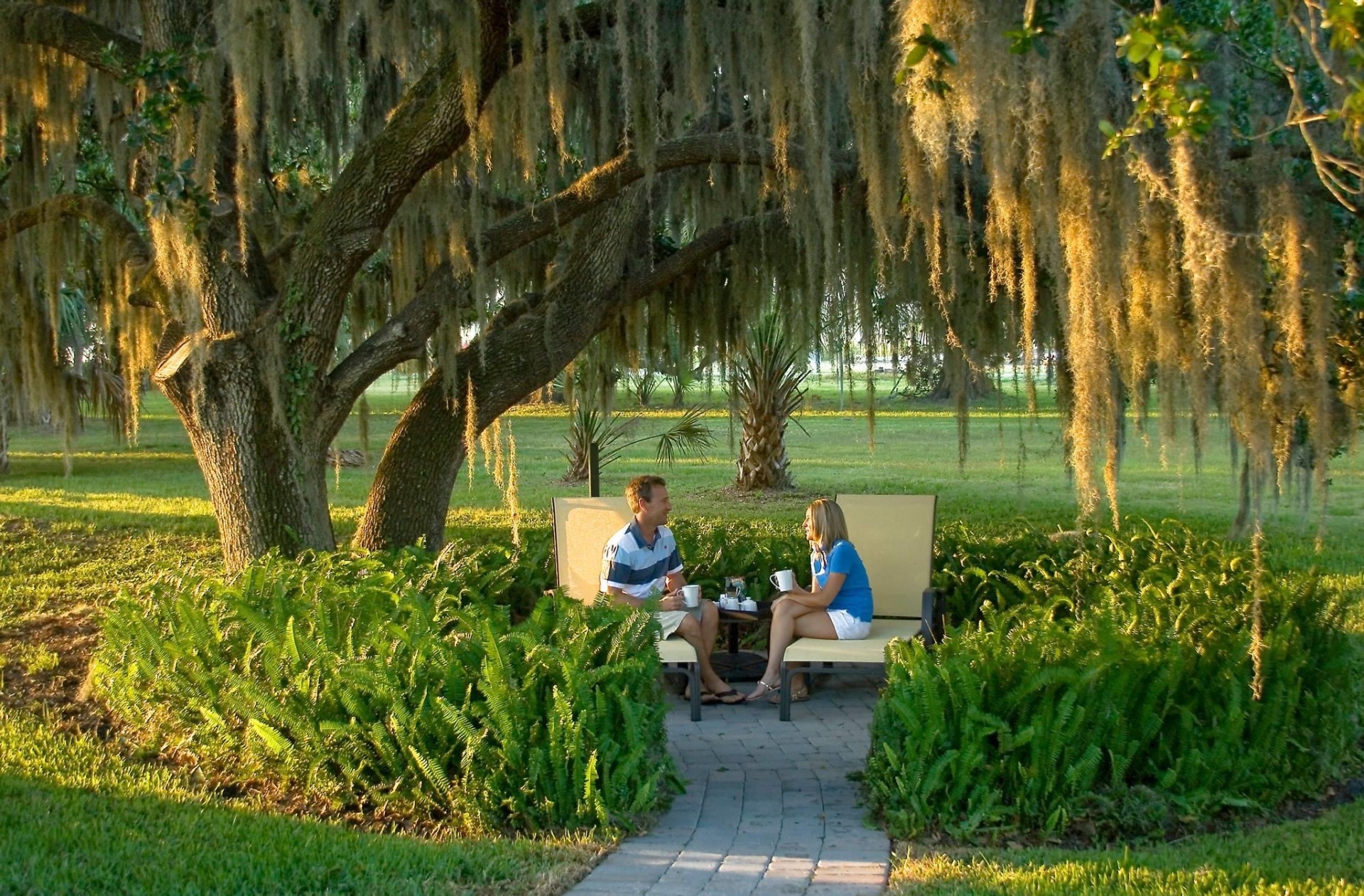 Couple seated under a grand live oak draped in Spanish moss with sword fern garden