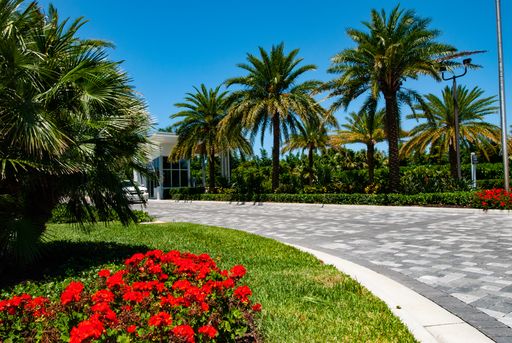 Resort entry drive at The Longboat Key Club with royal palms, flowering beds, and patterned pavers