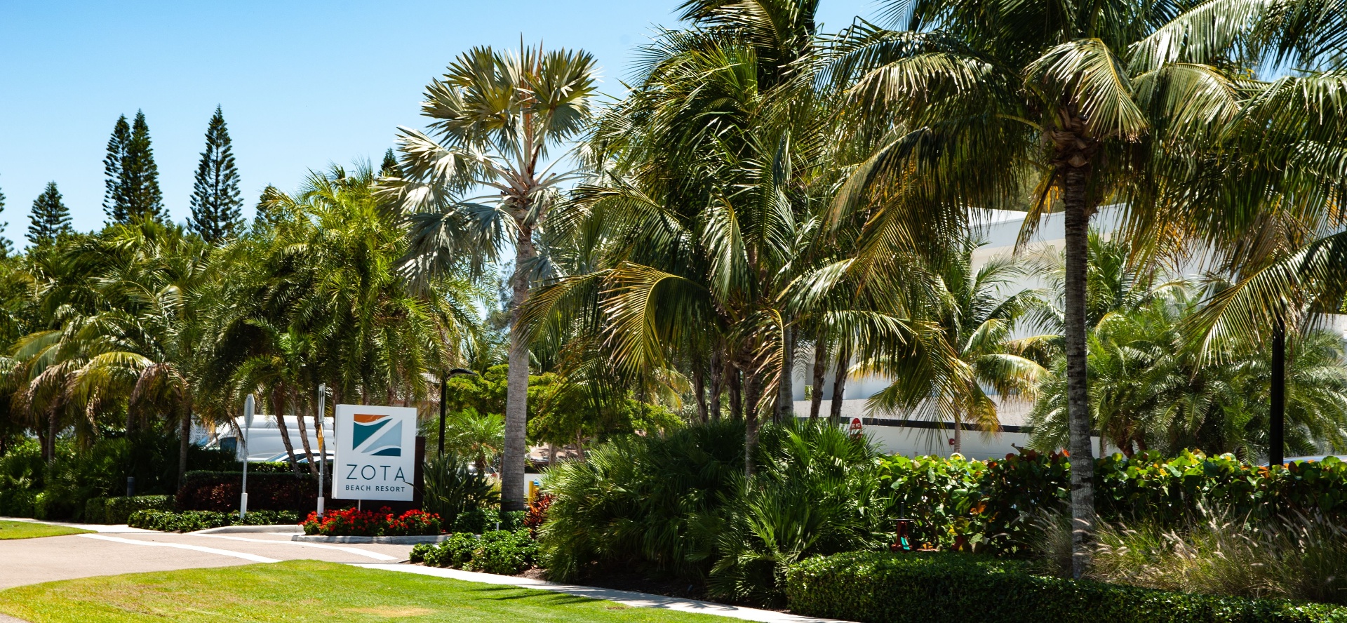 Zota Beach Resort entrance — lush tropical palm canopy with resort monument signage