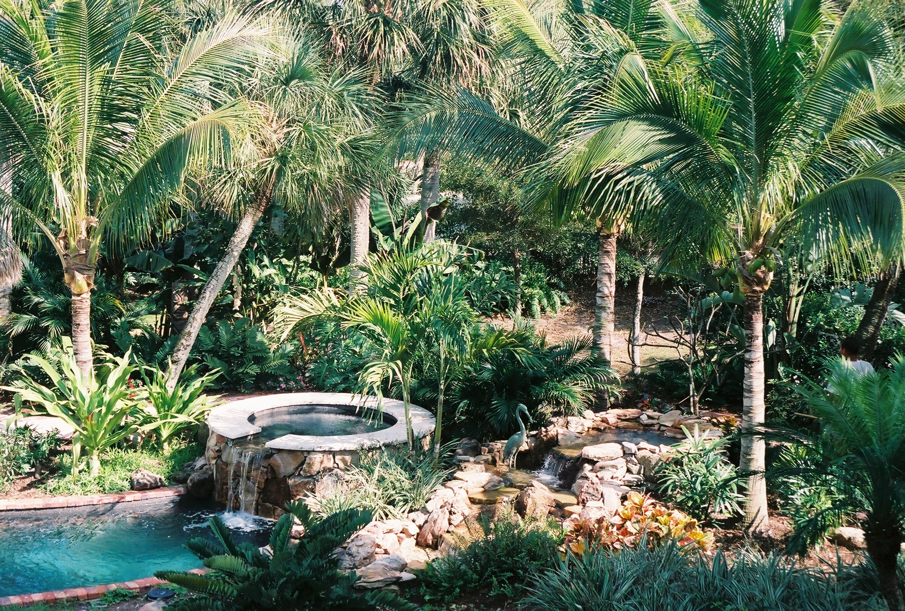 Lush tropical private residence pool with waterfall, spa, and dense palm landscaping