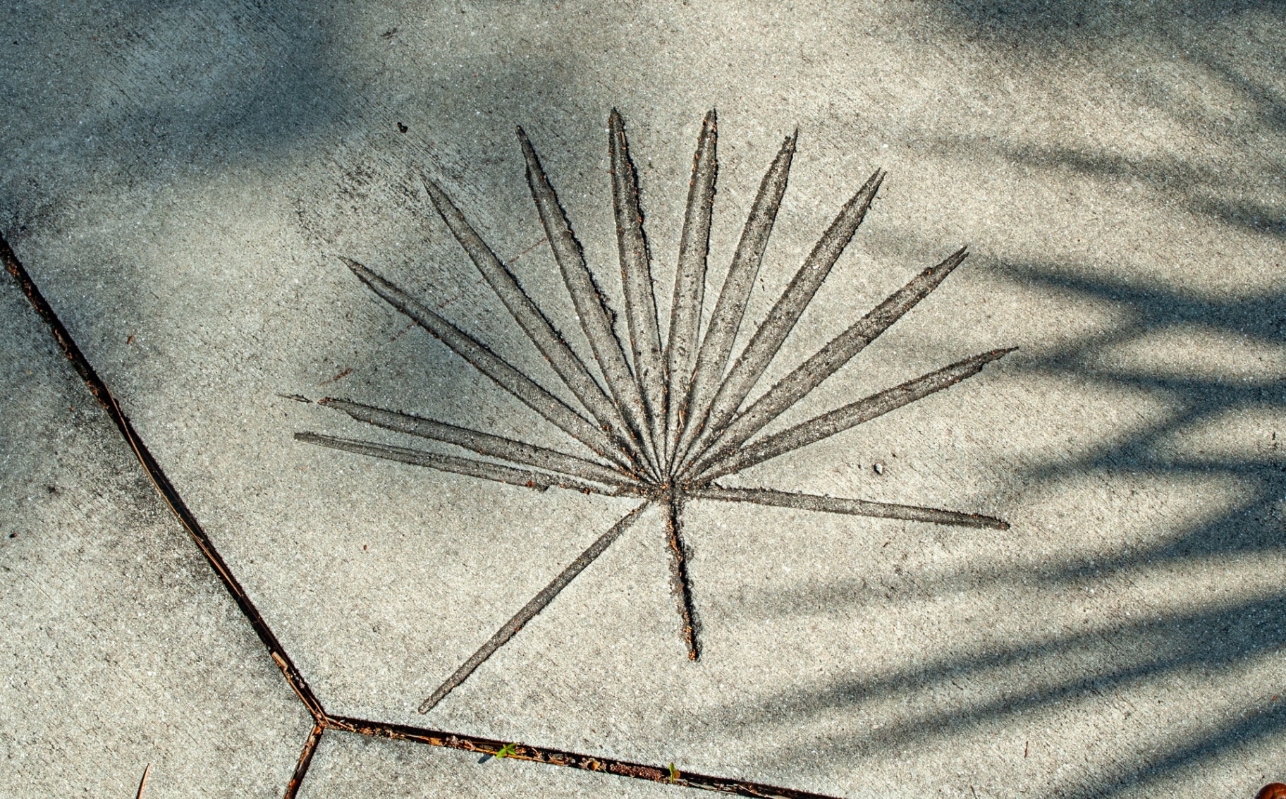 Palm frond imprint cast in concrete — a signature landscape detail at Grand Palm