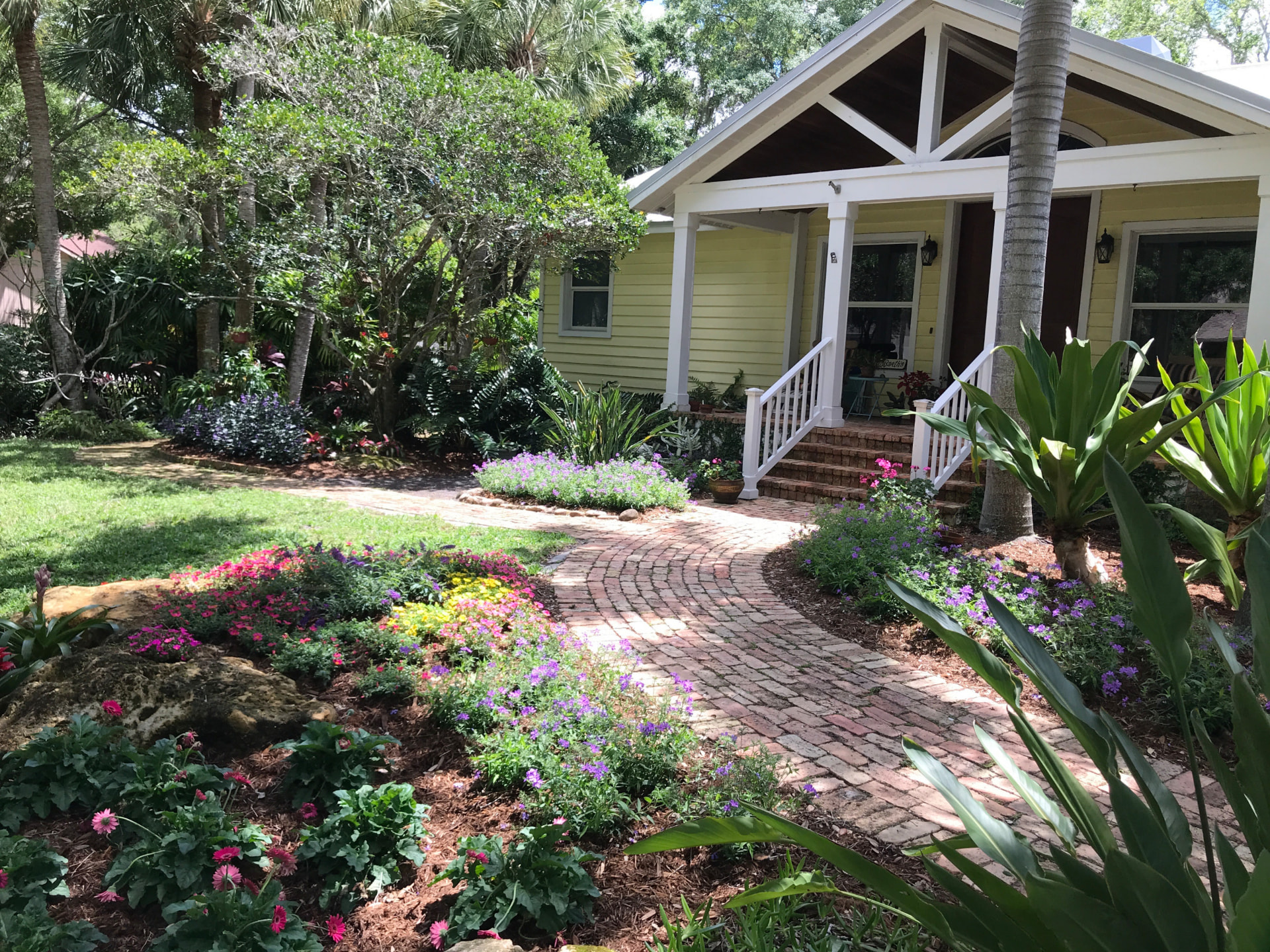 Florida cottage front walk with a curving brick path, flowering beds, and mature sabal palms in the canopy, a residence planted with Florida native plants and flowers